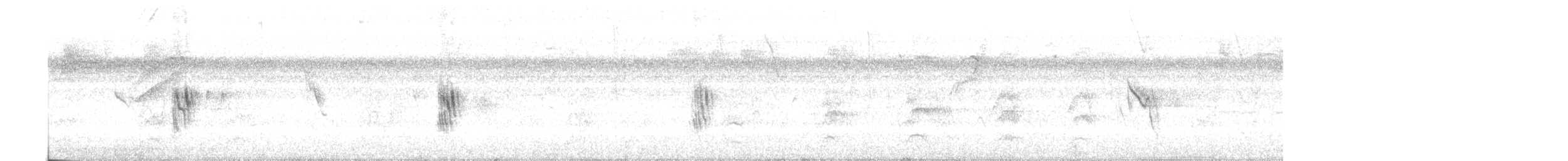 シロオビミドリツバメ - ML601550331