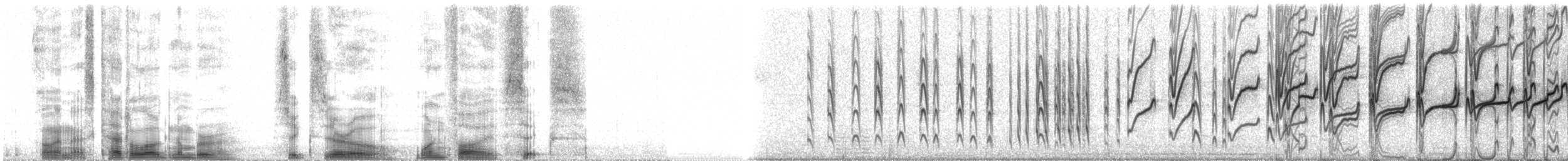 Светлоголовая якамара - ML60156