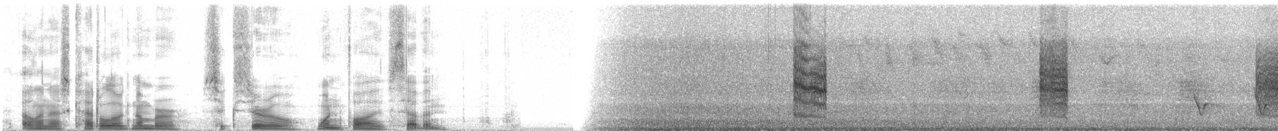 Светлоголовая якамара - ML60157