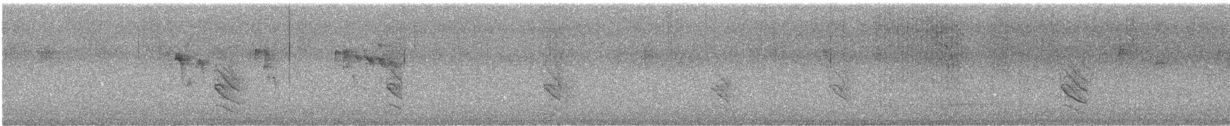 サンショクツバメ（pyrrhonota グループ） - ML601576381