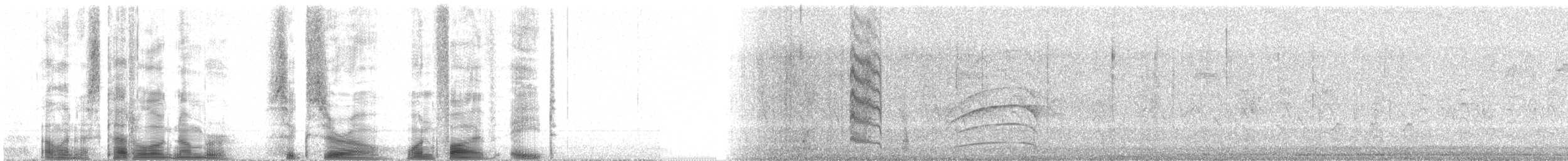 Kestane Kuşaklı Jakamar - ML60158