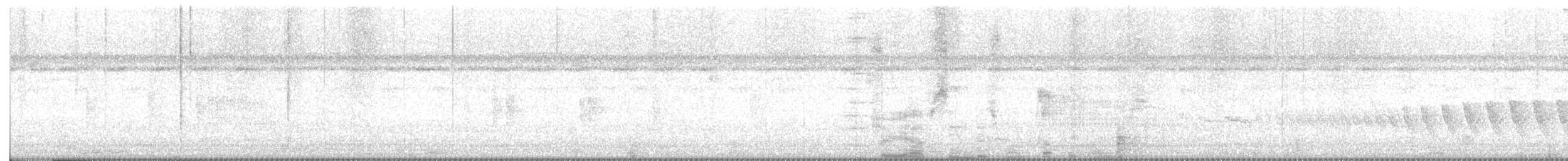 Мурав’янка-куцохвіст велика - ML601609891