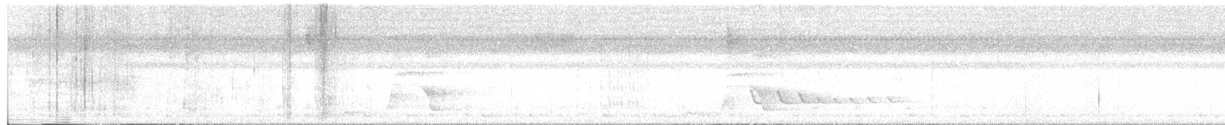 Бекард рябокрилий - ML601621361