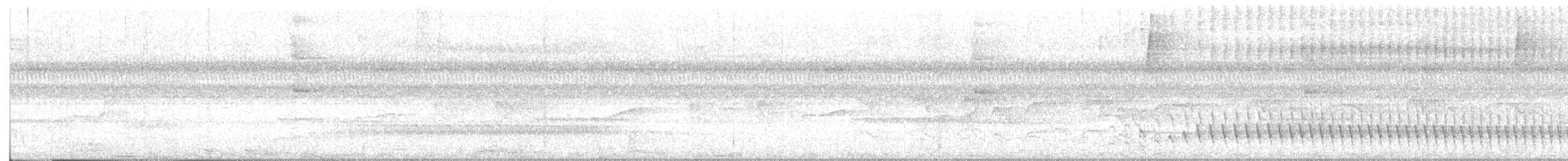 Bleigrau-Ameisenvogel - ML601631951