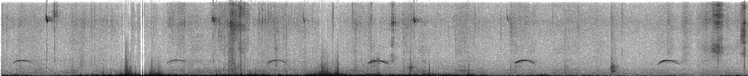 Weißkronen-Olivtyrann (Weißbauch-Olivtyrann) - ML601632261