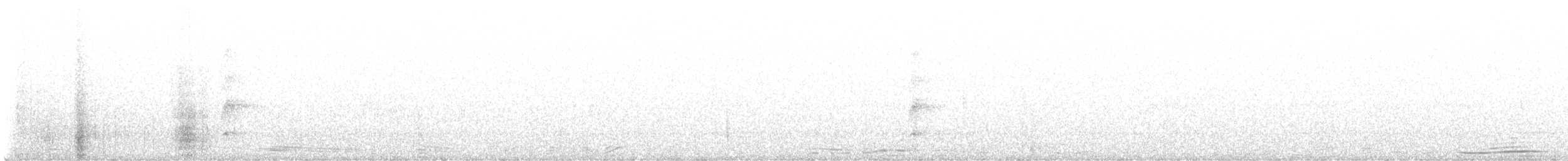 gyllentykknebb (aurantiacus) - ML601715781
