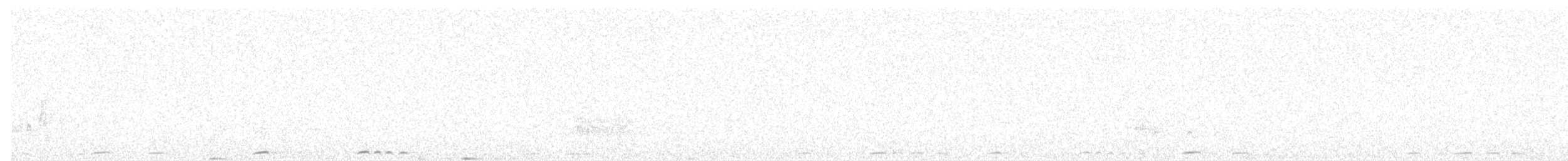 holub kimberleyský - ML601759101
