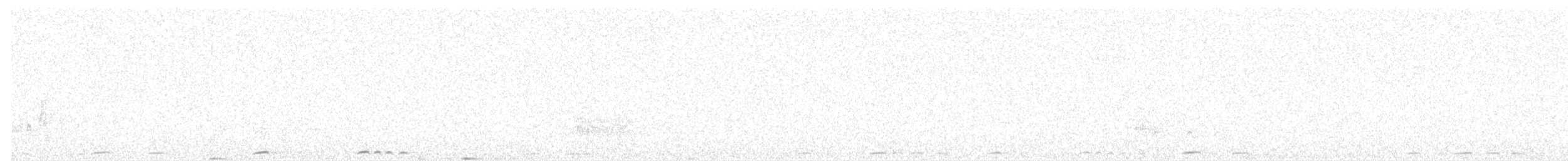 White-quilled Rock-Pigeon - ML601759101