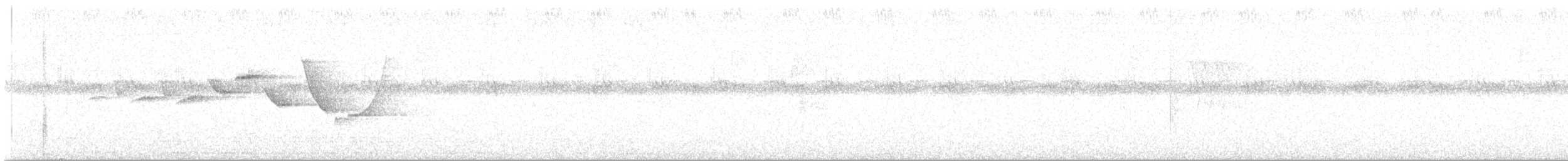 Веерохвостая корольковка - ML601763621
