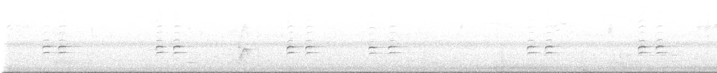 křivka bělokřídlá - ML601784291