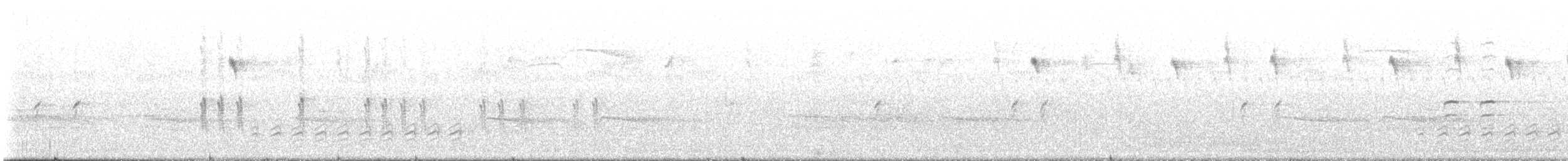 křivka bělokřídlá - ML601784311