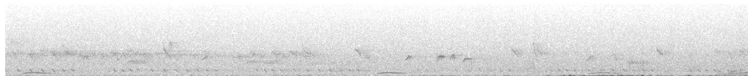 斑尾鵑鳩 - ML601789731