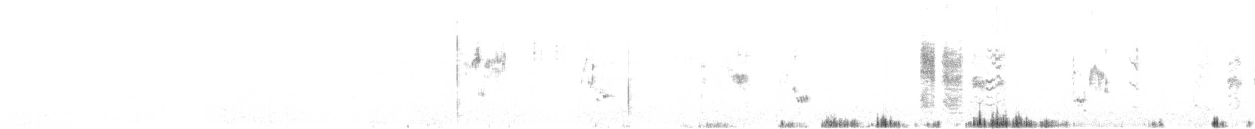 Серый сорокопут [группа elegans] - ML601800281
