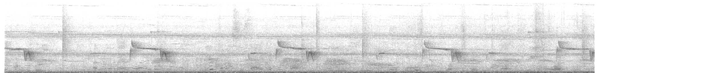 Grauschneidervogel - ML601800451