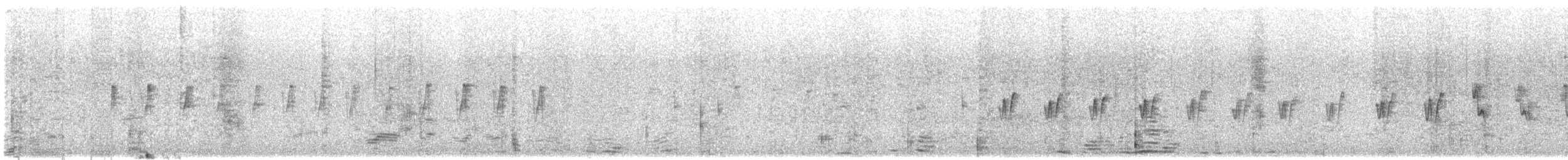 עלווית חורף קנרית - ML601801021