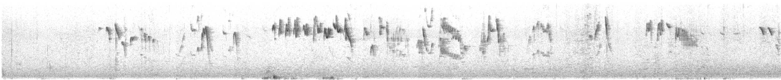 キクイタダキ（teneriffae） - ML601801921