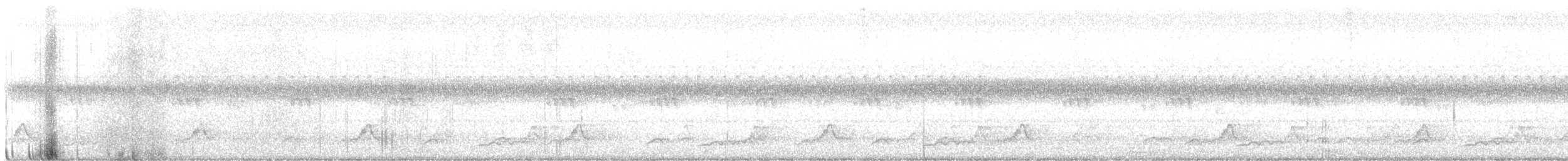 Schwarzkehl-Nachtschwalbe - ML601807111