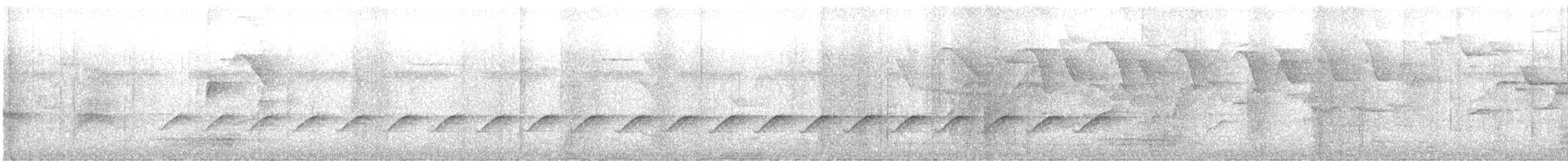 Серогрудый виреончик - ML601826331