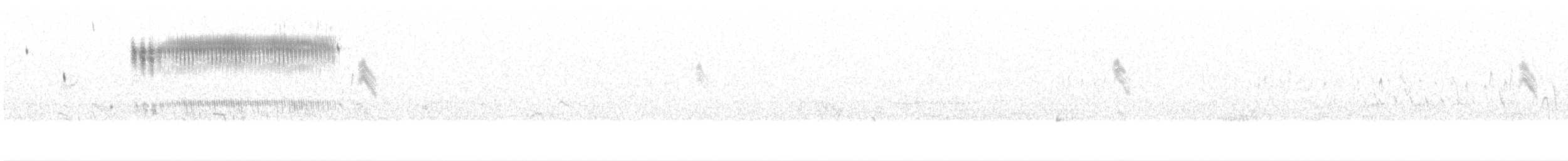 Кузнечиковая овсянка-барсучок - ML60184311