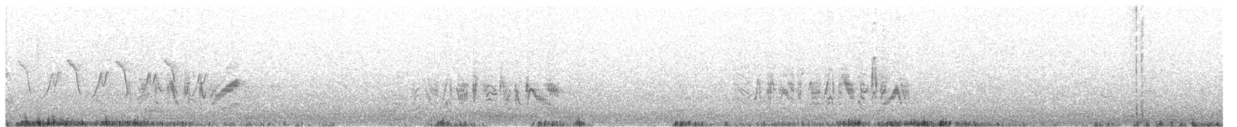 Віреон короткокрилий - ML60188681