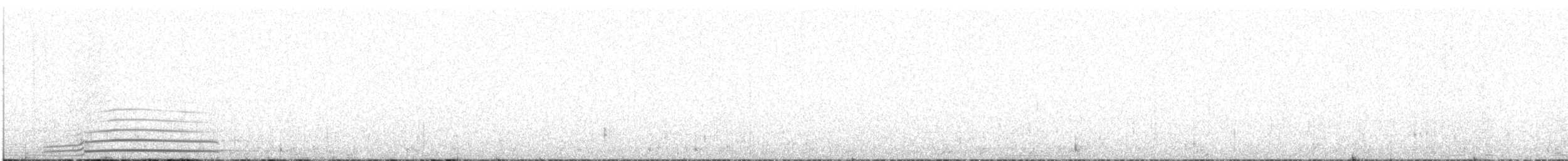 צוללן שחור-גרון - ML601935581