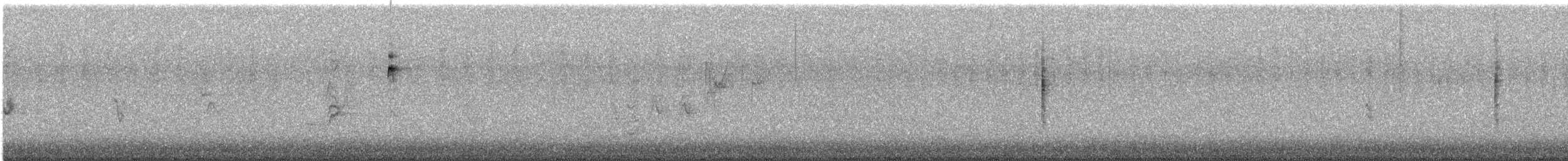 Black-throated Gray Warbler - ML601948341