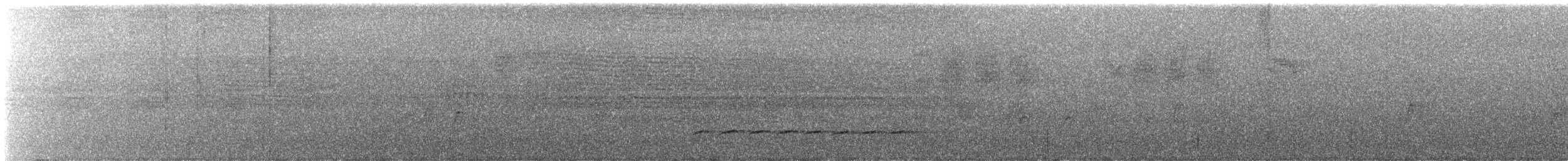 Timalie à front roux (groupe rufifrons) - ML601955441