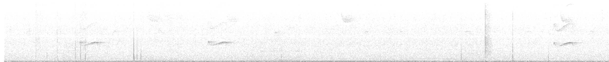 tyranovec žlutobřichý - ML601962001