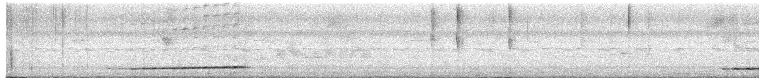 Turuncu Karınlı Yerçavuşu - ML601987211