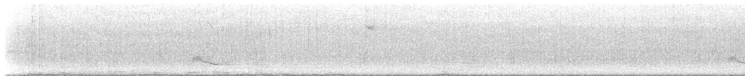 Oriole troupiale - ML602007011