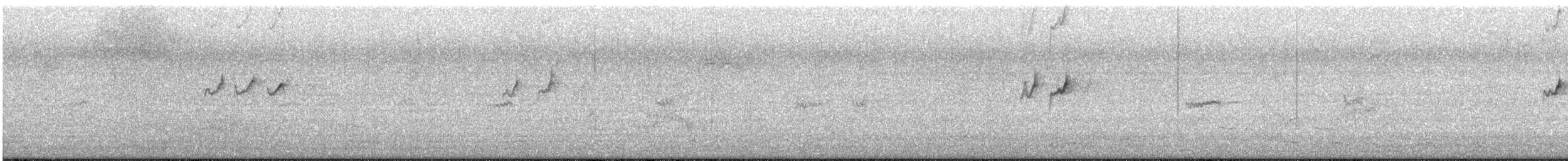 Улит-отшельник (solitaria) - ML602071051