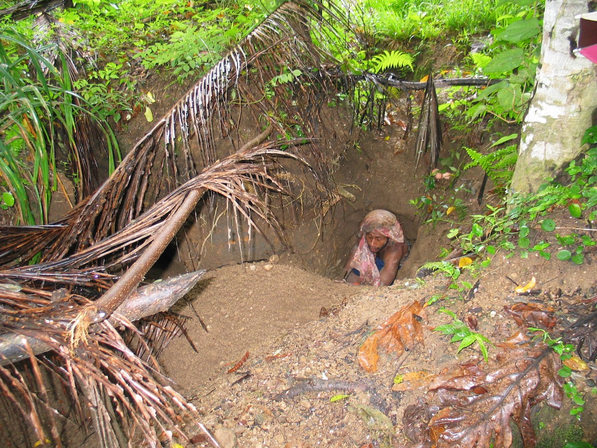 Melanesian Megapode - ML602076931