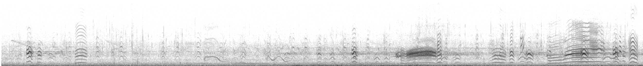 クビワコガモ - ML602094071