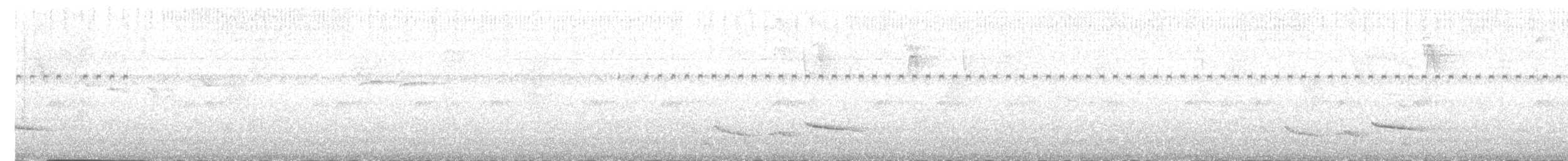 Зернолуск білогорлий - ML602137551