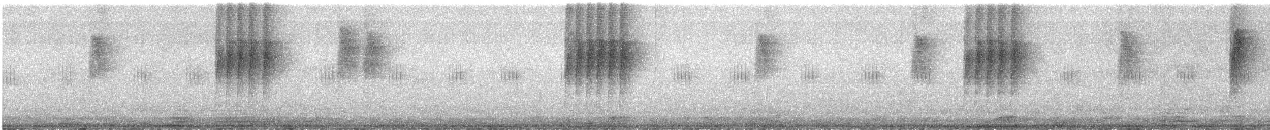 Schwarzkehl-Ameisenvogel - ML602156591