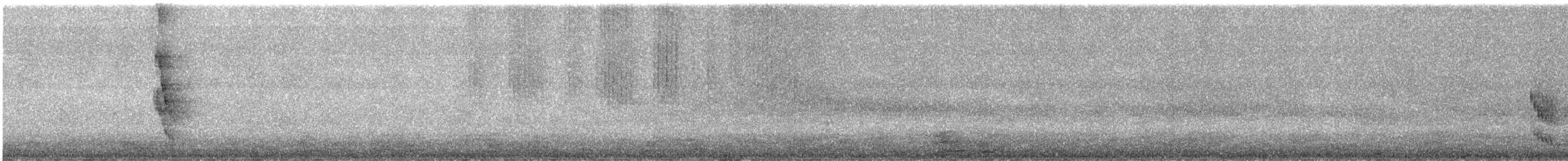 hvitskjeggmanakin - ML602156731