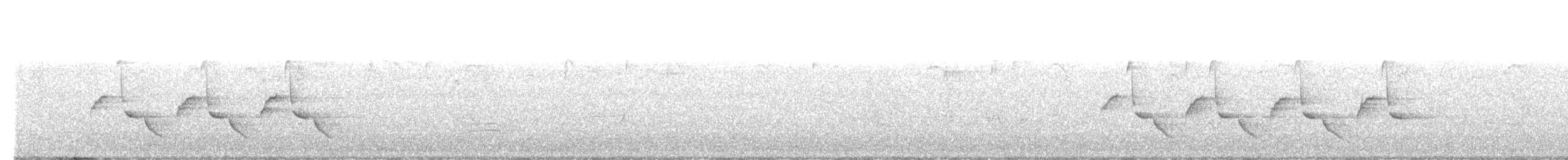 Поплітник каролінський - ML602239251