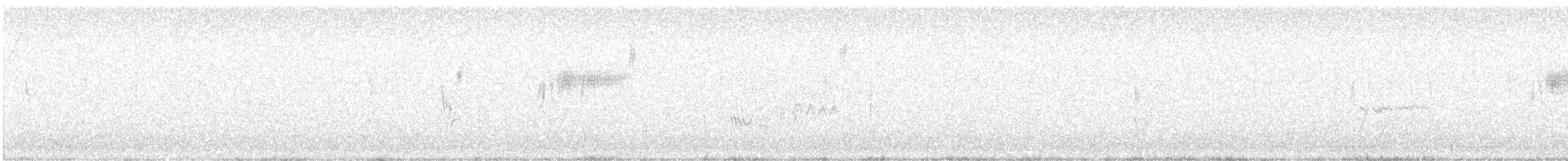 Острохвостая овсянка-барсучок - ML602256391