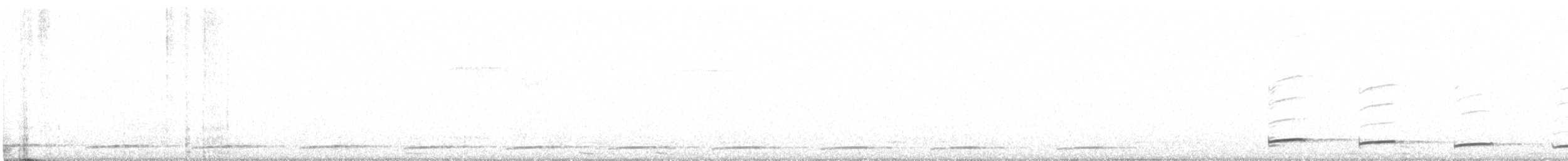 シラヒゲオタテドリ - ML602273601