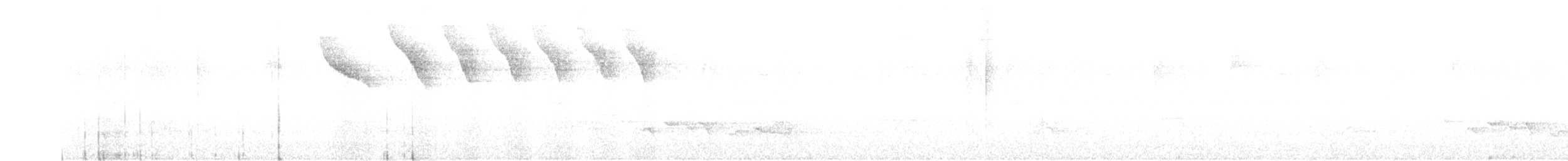 Kestane Karınlı Bülbül Tiranı - ML602274371