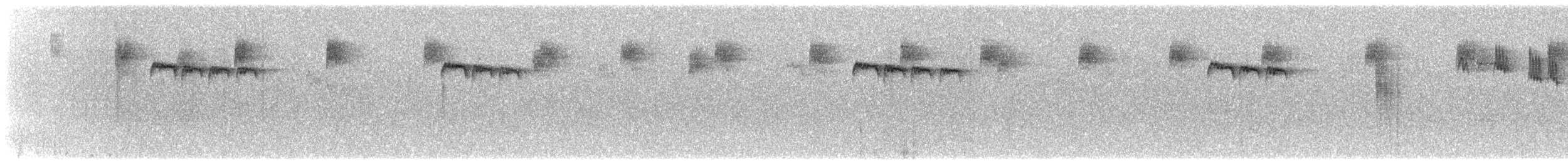 stjertmeis (caudatus) - ML602276031