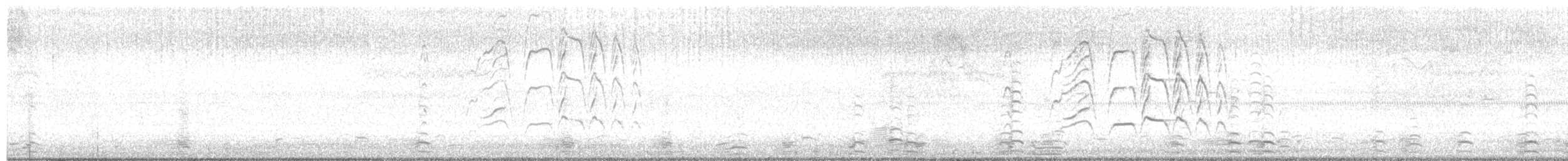 Kara Karınlı Islıkçı Ördek - ML602278251