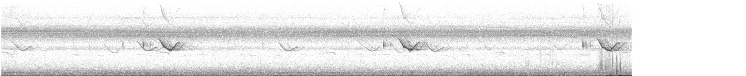 Spot-tailed Nightjar - ML602308991