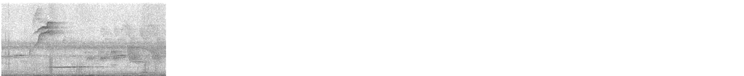 Thicket Tinamou - ML602309081