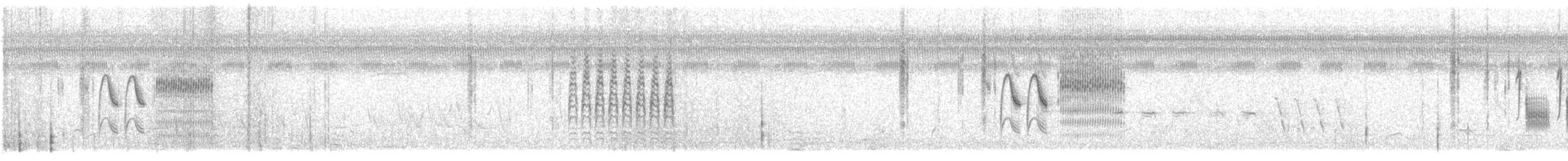 Grass Wren - ML602309241