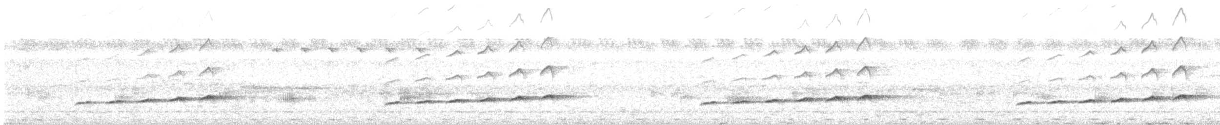 Вилохвостая дронговая кукушка - ML602344601