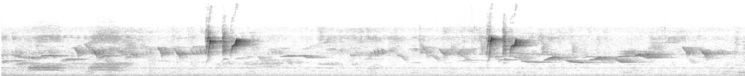 Малабарская нектарница - ML602346381
