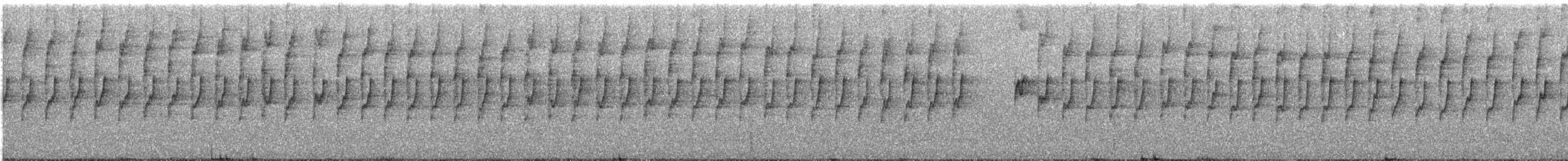 Thorn-tailed Rayadito - ML602350051