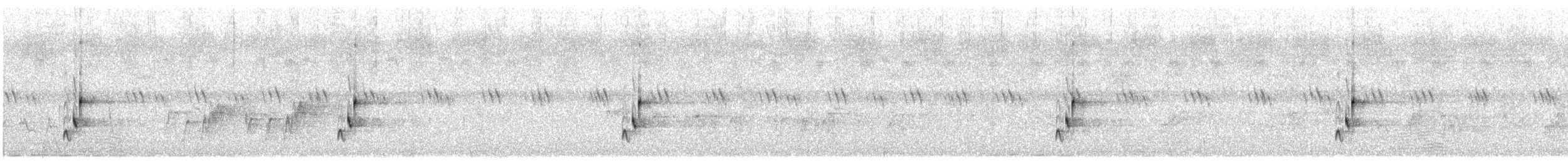 Cisticole chanteuse - ML602363001