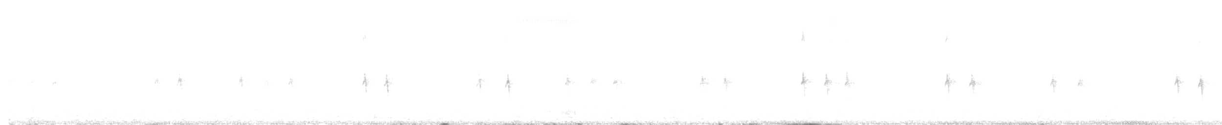 Шишкар ялиновий - ML602381101